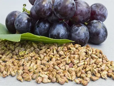 ¿Cuáles son los efectos del extracto de semilla de uva?