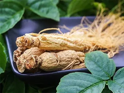 Rango de aplicación y función del extracto de Panax ginseng